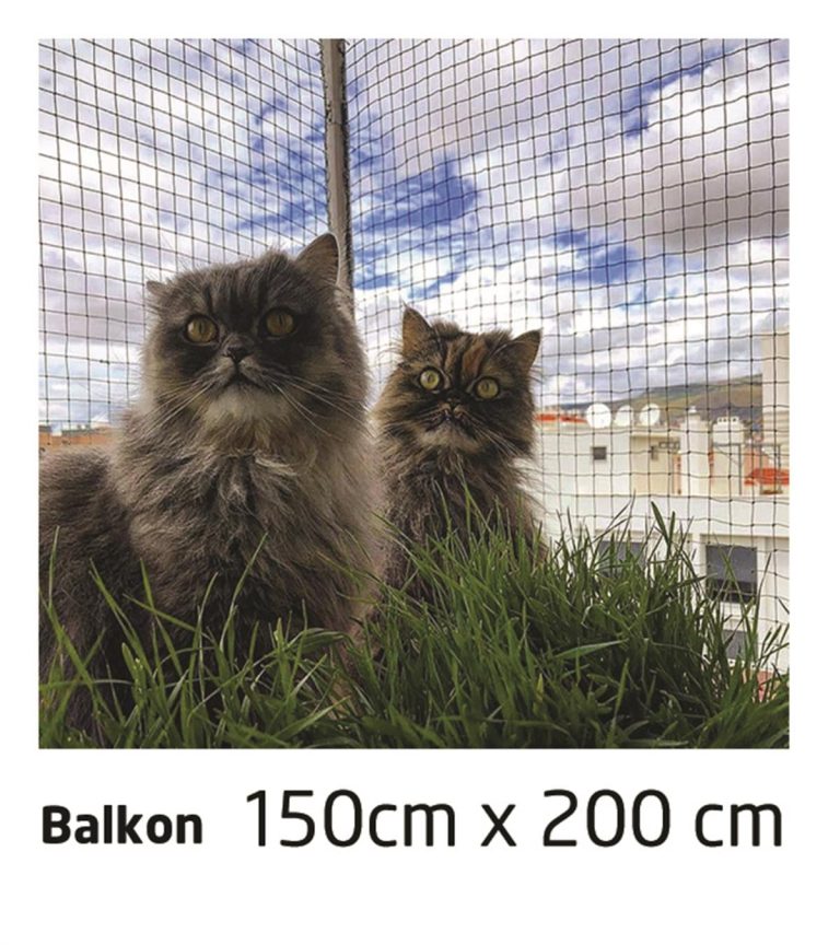 winblock pets balkonlar icin kedi guve 996f0b